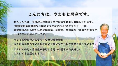 やまもと農産のオーガニックにんにく Mサイズ 1kg