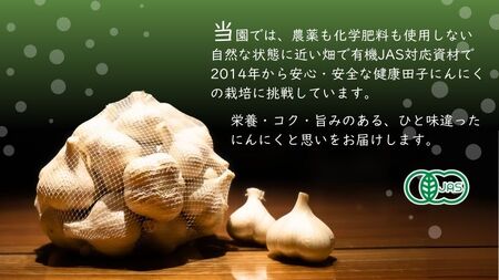 やまもと農産のオーガニックにんにく Mサイズ 1kg