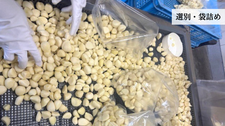 青森県田子町産 むきにんにく1kg(S～Mサイズ混合)業務用