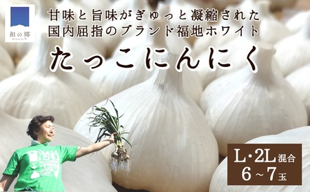 青森県にんにく20Kg L.2L タネ、加工オススメ-