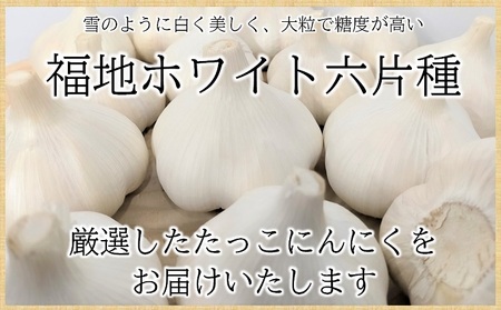 三重県産種用ジャンボニンニク７キロ - 野菜