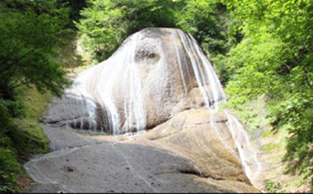 田子牛サイコロステーキ450g(ニンニクタレ1本）