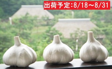 令和2年度新物 日本一田子にんにく・特選6~7玉
