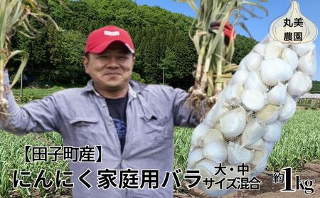 丸美農園 田子町産にんにく家庭用バラ約1kg（大・中サイズ混合）