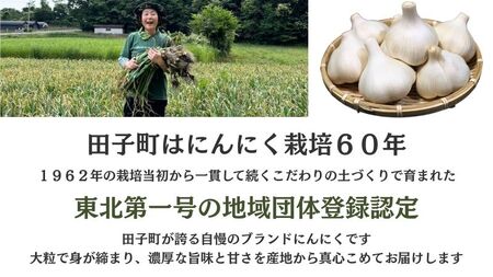 日本一ブランドたっこにんにくMサイズ20玉（青森県田子町産にんにく）