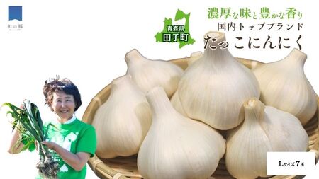 日本一ブランドたっこにんにくLサイズ7玉（青森県田子町産にんにく）