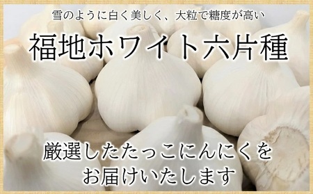 日本一ブランドたっこにんにくLサイズ7玉（青森県田子町産にんにく）