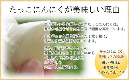 日本一ブランドたっこにんにくLサイズ7玉（青森県田子町産にんにく）