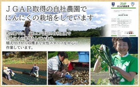 日本一ブランドたっこにんにくLサイズ7玉（青森県田子町産にんにく）