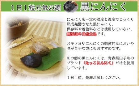 田子町産熟成黒にんにく 食べきりサイズ 100g×6袋