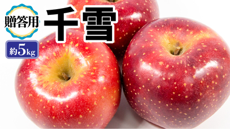 12月 田子の贈答用千雪約5kg(18~20玉程度)山市美貴子さん生産直送