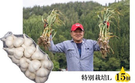 丸美農園 田子産特別栽培にんにく(L)15個