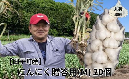 丸美農園 田子産贈答用にんにく(M)20個
