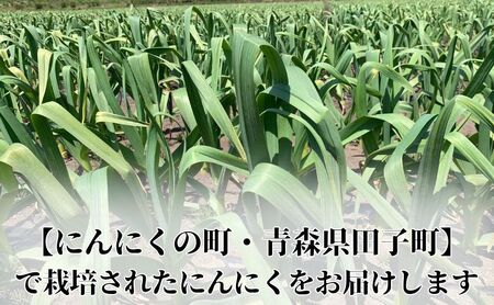 丸美農園 田子産贈答用にんにく（M）20個
