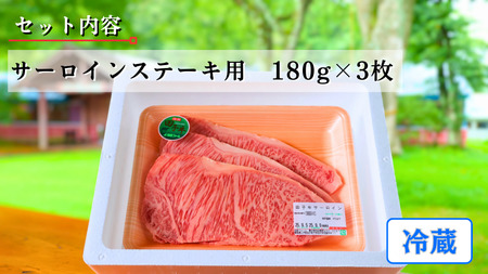 田子牛 サーロインステーキ用180g×3枚