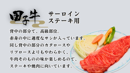 田子牛 サーロインステーキ用180g×3枚