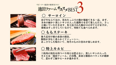 幻の田子牛 逸品セットA/牛肉1.1kg特製タレ付