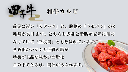 田子牛 味付カルビ600g