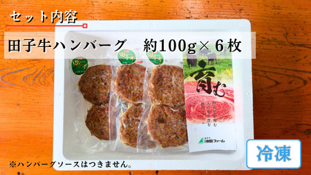 田子牛 ハンバーグ約100g×6枚