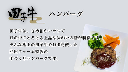 田子牛 ハンバーグ約100g×6枚