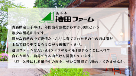 田子牛 ハンバーグ約100g×6枚
