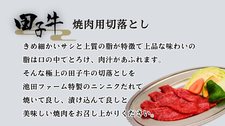 田子牛焼肉用切落とし300g （特製タレ付 ）