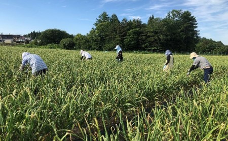 青森県産 黒にんにく バラ 200g×4パック