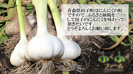 青森県田子産にんにくLサイズC品(訳あり)約1kg