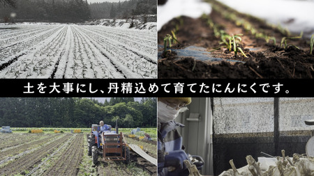 青森県田子産にんにくLサイズC品(訳あり)約1kg