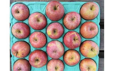 ≪訳あり≫ 青森県産 りんご 「サンふじ」 約4kg(16~20玉) 【カネテ青果】 F21U-399