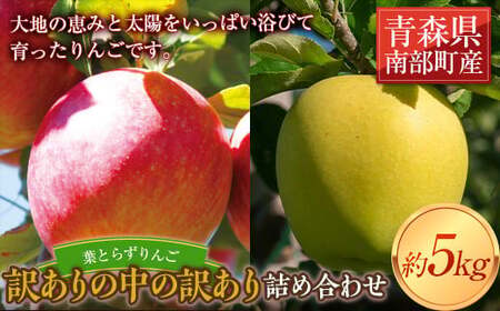 《訳ありの中の訳あり》 葉とらずりんご詰め合わせ 約5kg 【四戸農園】 減農薬 F21U-361