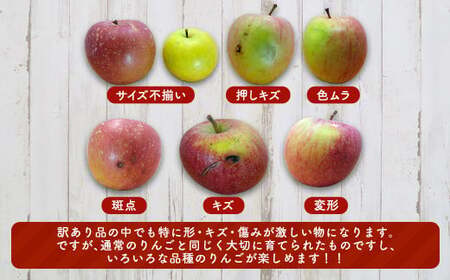 《訳ありの中の訳あり》 葉とらずりんご詰め合わせ 約5kg 【四戸農園】 減農薬 F21U-361