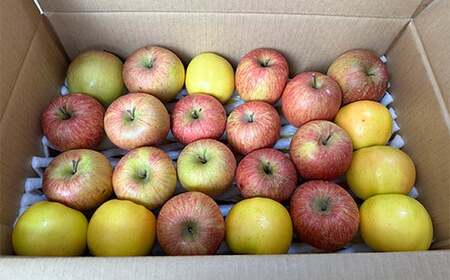 《訳ありの中の訳あり》 葉とらずりんご詰め合わせ 約5kg 【四戸農園】 減農薬 F21U-361