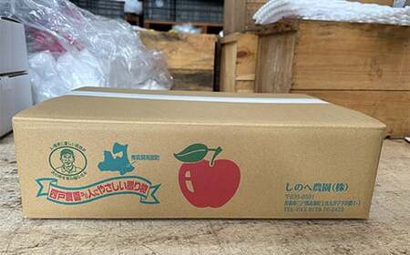 《訳ありの中の訳あり》 葉とらずりんご詰め合わせ 約5kg 【四戸農園】 減農薬 F21U-361