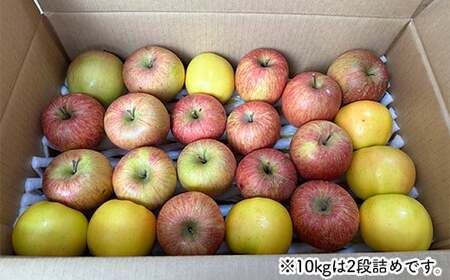 《訳ありの中の訳あり》 葉とらずりんご詰め合わせ 約10kg 【四戸農園】 減農薬 有機肥料 F21U-362