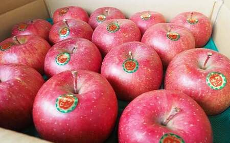 青森県 南部町産 りんご サンふじ 約5kg 【盛果園】 F21U-365