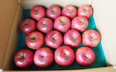 青森県 南部町産 りんご サンふじ 約10kg 【盛果園】 F21U-366