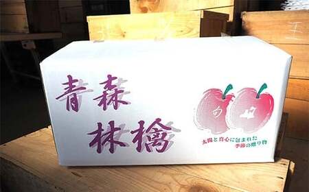 青森県 南部町産 りんご サンふじ 約10kg 【盛果園】 F21U-366