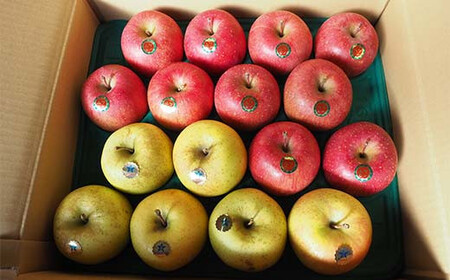 青森県 南部町産 りんご サンふじ＆サン金星 約5kg 【盛果園】 2種セット F21U-367