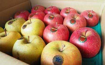 青森県 南部町産 りんご サンふじ＆サン金星 約5kg 【盛果園】 2種セット F21U-367