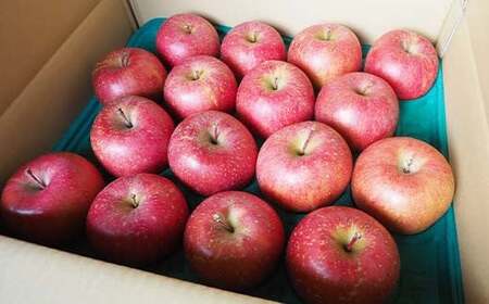 ≪訳あり≫ 青森県 南部町産 りんご サンふじ 約5kg 【盛果園】 F21U-368