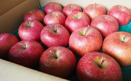 ≪訳あり≫ 青森県 南部町産 りんご サンふじ 約5kg 【盛果園】 F21U-368