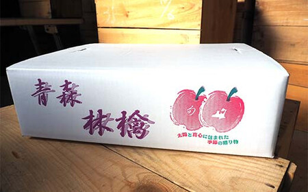 ≪訳あり≫ 青森県 南部町産 りんご サンふじ 約5kg 【盛果園】 F21U-368