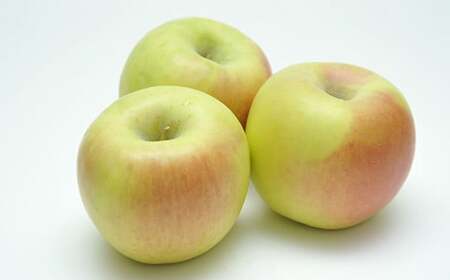 青森りんご ぐんま名月 約５ｋｇ（12～20玉） 【マルス果樹園】 F21U-256