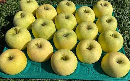 青森りんご 星の金貨 約5kg 【マルス果樹園】 F21U-079