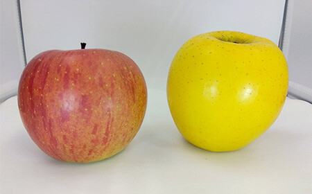 葉とらずりんご 旬の詰め合わせ 赤＆黄セット 約4.5kg 【四戸農園】 減農薬 有機肥料 F21U-265