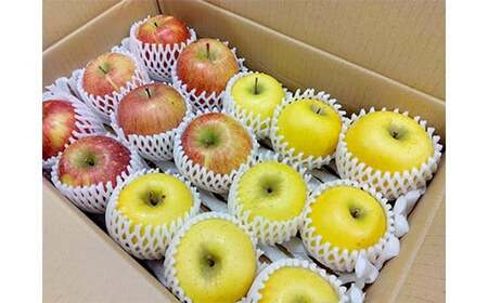 葉とらずりんご 旬の詰め合わせ 赤＆黄セット 約4.5kg 【四戸農園】 減農薬 有機肥料 F21U-265