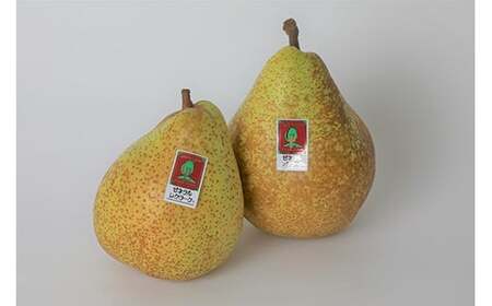 高級 ゼネラルレクラーク (洋梨) 約3kg (約450g×7個)【泉山果樹園】 F21U-063