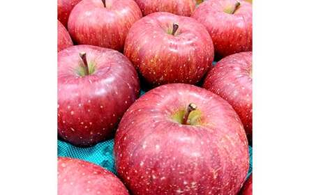 青森りんご サンふじ 特選品 (大玉) 約5kg (12玉) 【マルス果樹園】 F21U-295