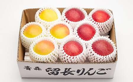 サンふじ・ぐんま名月 詰め合わせ 特選(大玉) 約3kg 【留長果樹園】 2種セット F21U-051